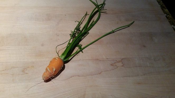 10440802_10152658933246635_8800588800137577634_n